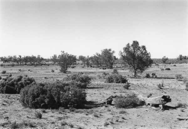 Black and white photograph of a sparse outback landscape.