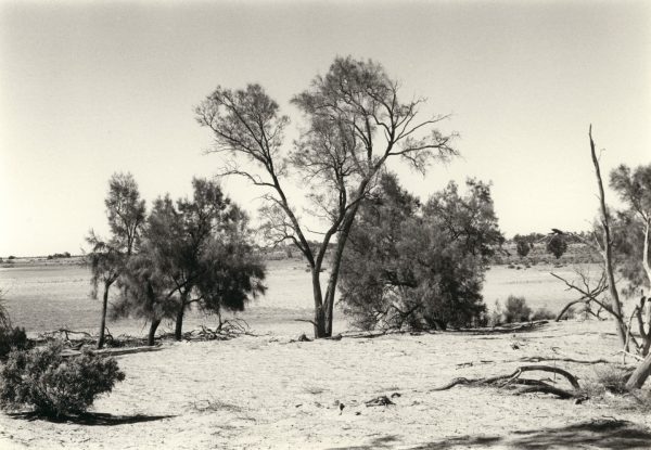 Black and white photograph of a sparse outback landscape.