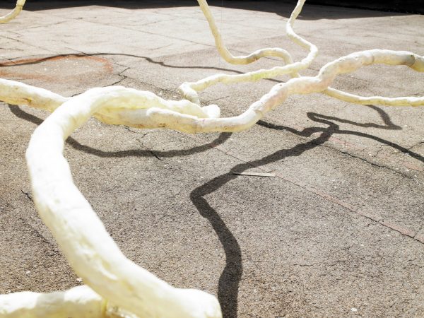 A bare, white-painted tree branch curves across a cracked pavement.