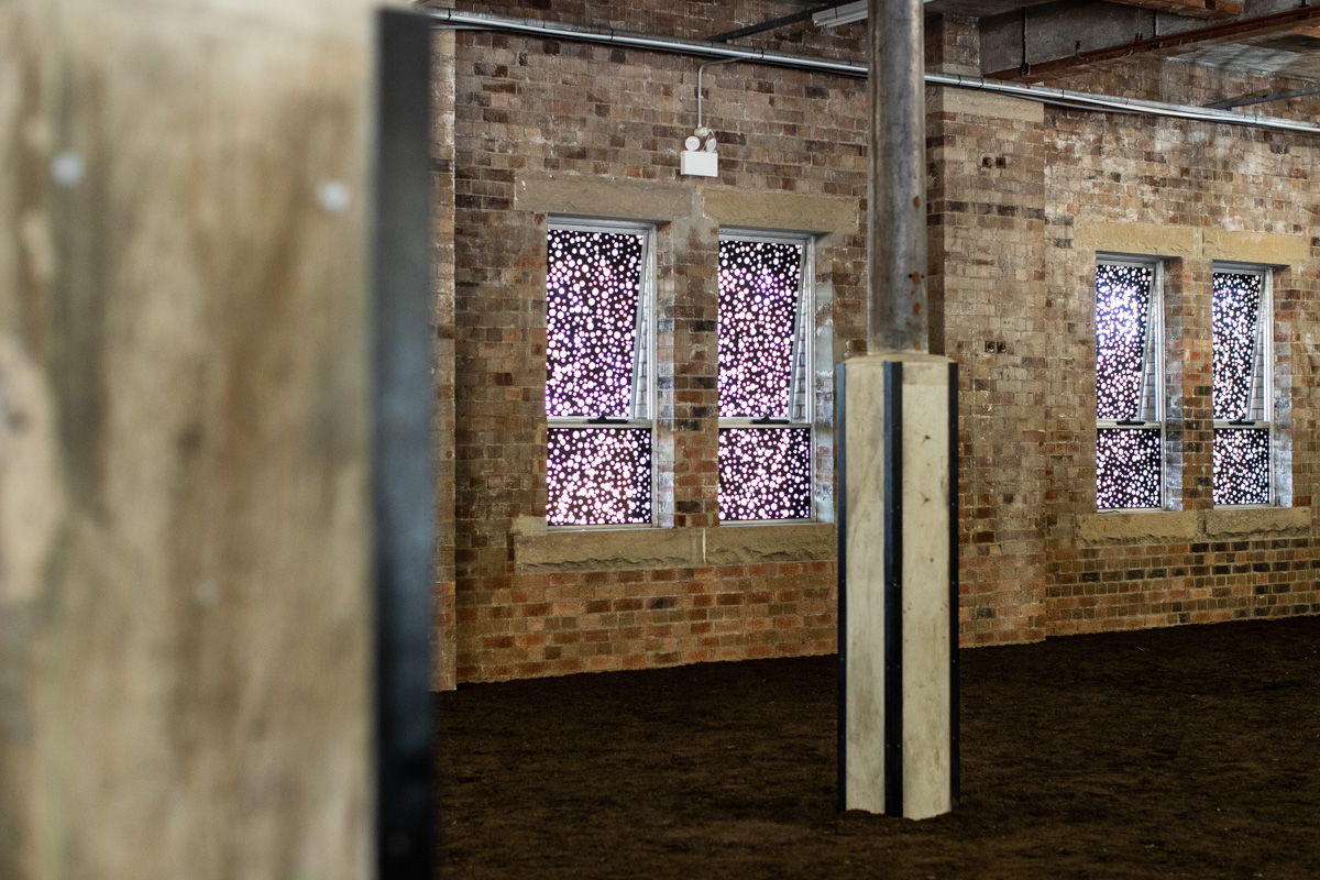 Four windows in an old, brick industrial building. The glass of the windows covered in black vinyl, with hundreds of small perforated holes, arranged in a pattern. The floor of the building is entirely covered in a thick layer of soil.