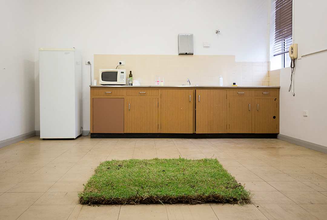 A square of turf, laid on the tiled floor of a 1970s era workplace kitchen.